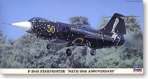 10040706-48nato.jpg