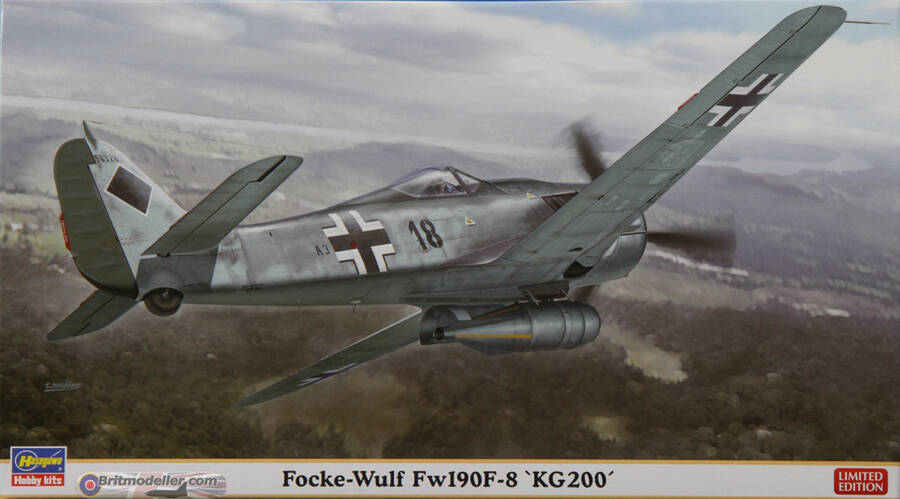 fw-190f-8.jpg